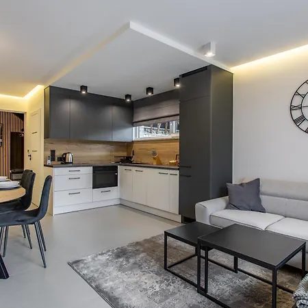 Apartament Mountain Spring- Premium 4-8 Os Z Jacuzzi, Sauną I Basenem W Cenie - Widok Na Góry Szklarska Poręba